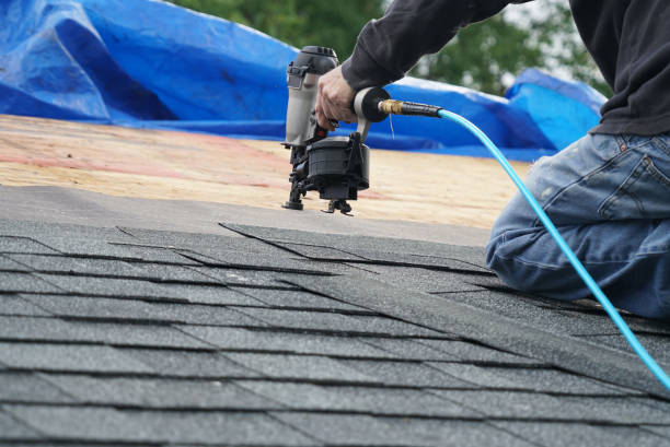 Best Shingle Roofing Installation  in Nellieburg, MS