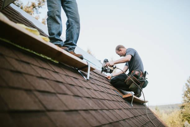 Best Emergency Roof Repair  in Nellieburg, MS