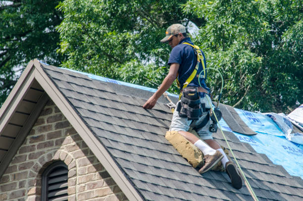 Best Residential Roofing Contractor  in Nellieburg, MS